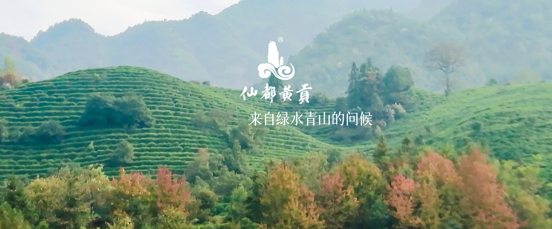 广告一