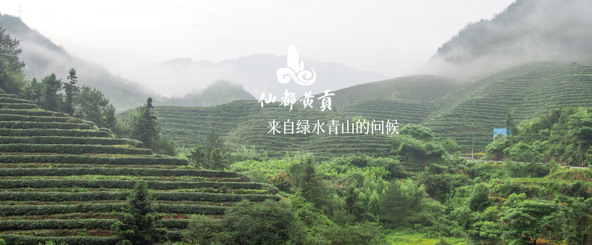 广告二