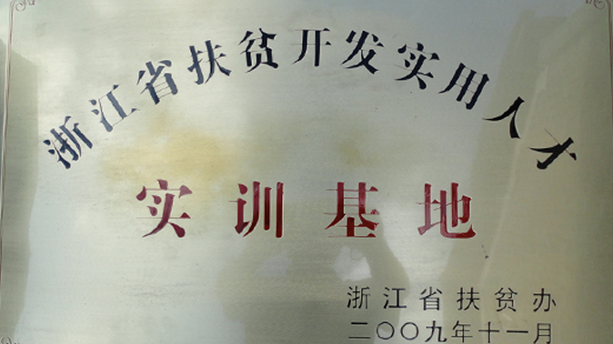 仙都黄贡茶园基地